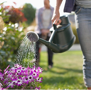 I want you to water the flowers